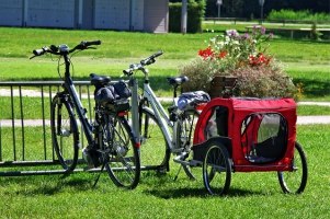 Fahrradträger fürs Auto: Modelle