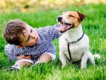 Wickelkind trifft Fellschnauze: der Familienhund