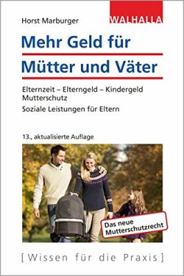 Das Buch - Mehr Geld für Mütter und Väter - bestellen