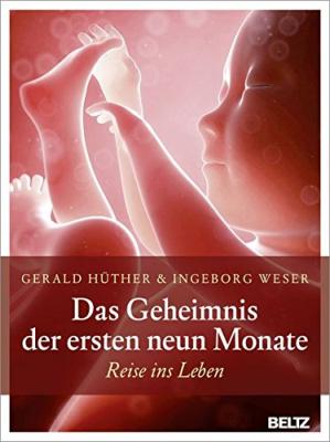 Das Buch - Das Geheimnis der ersten neun Monate - bei AMAZON kaufen