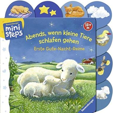 Das Buch - Abends, wenn kleine Tiere schlafen gehen - bestellen