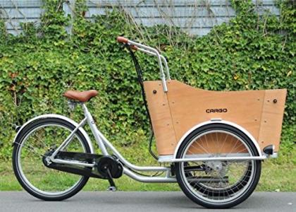 Das Elektro-Transportfahrrad Cargo Q4 von Hooptec bestellen